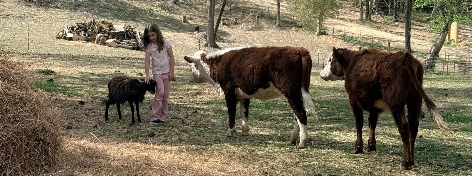 life on the farm