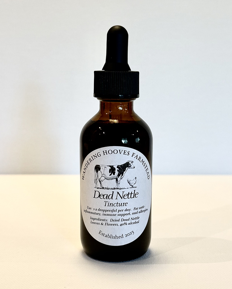 dead nettle tincture bottle