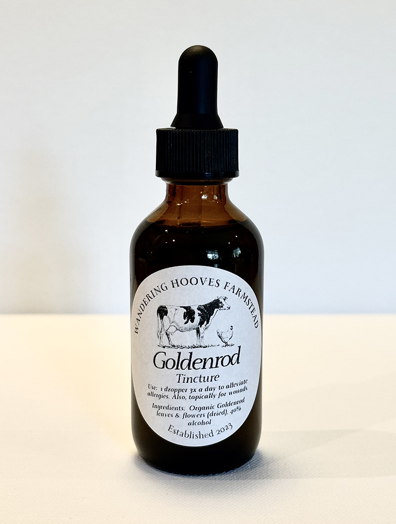goldenrod tincture bottle