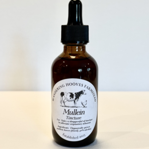 mullein tincture bottle